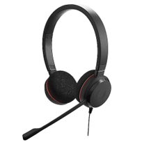 Jabra Evolve 20